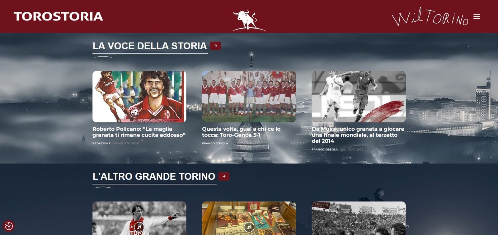 Anteprima homepage del sito Torostoria.it